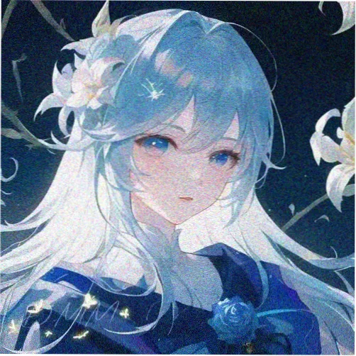 海狗伙伴